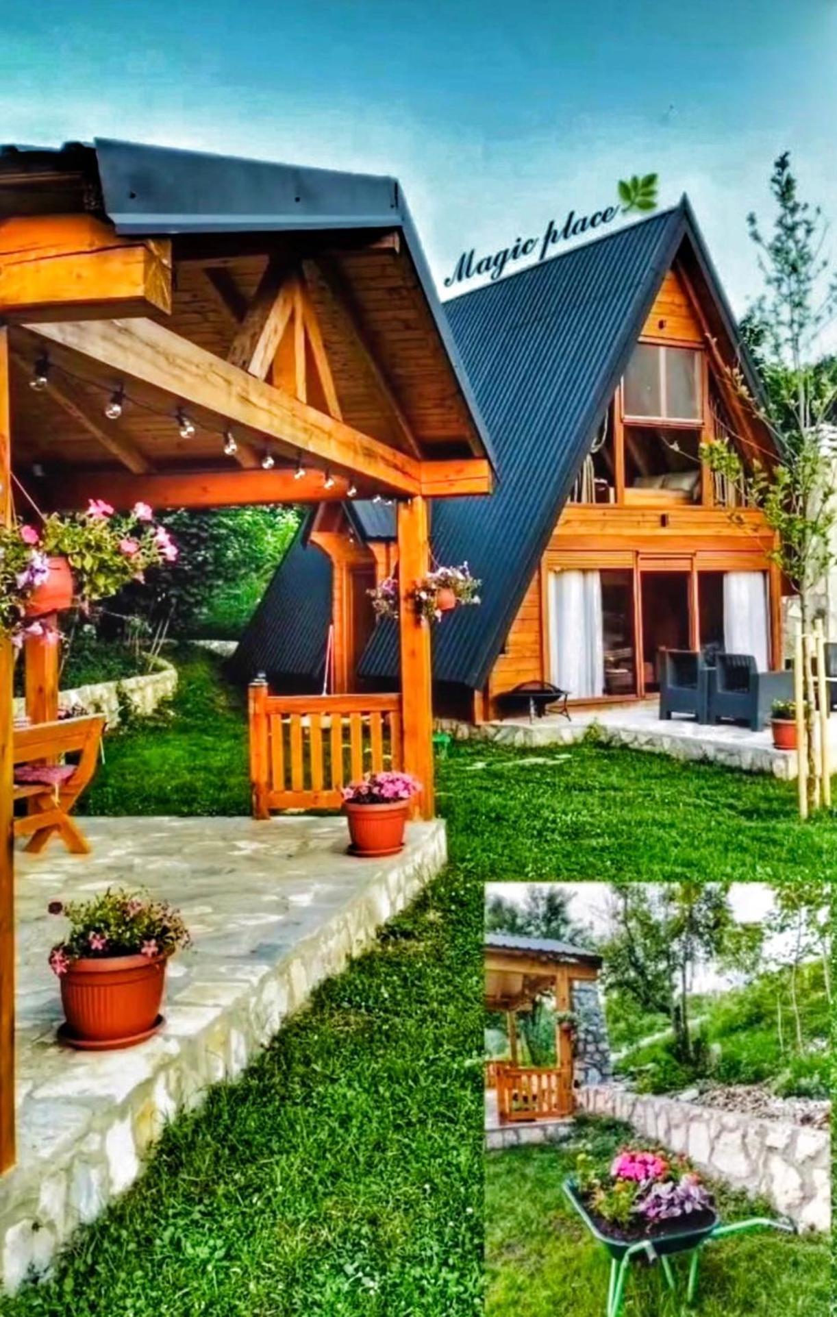 Albero Casa Villa Cetinje Bagian luar foto