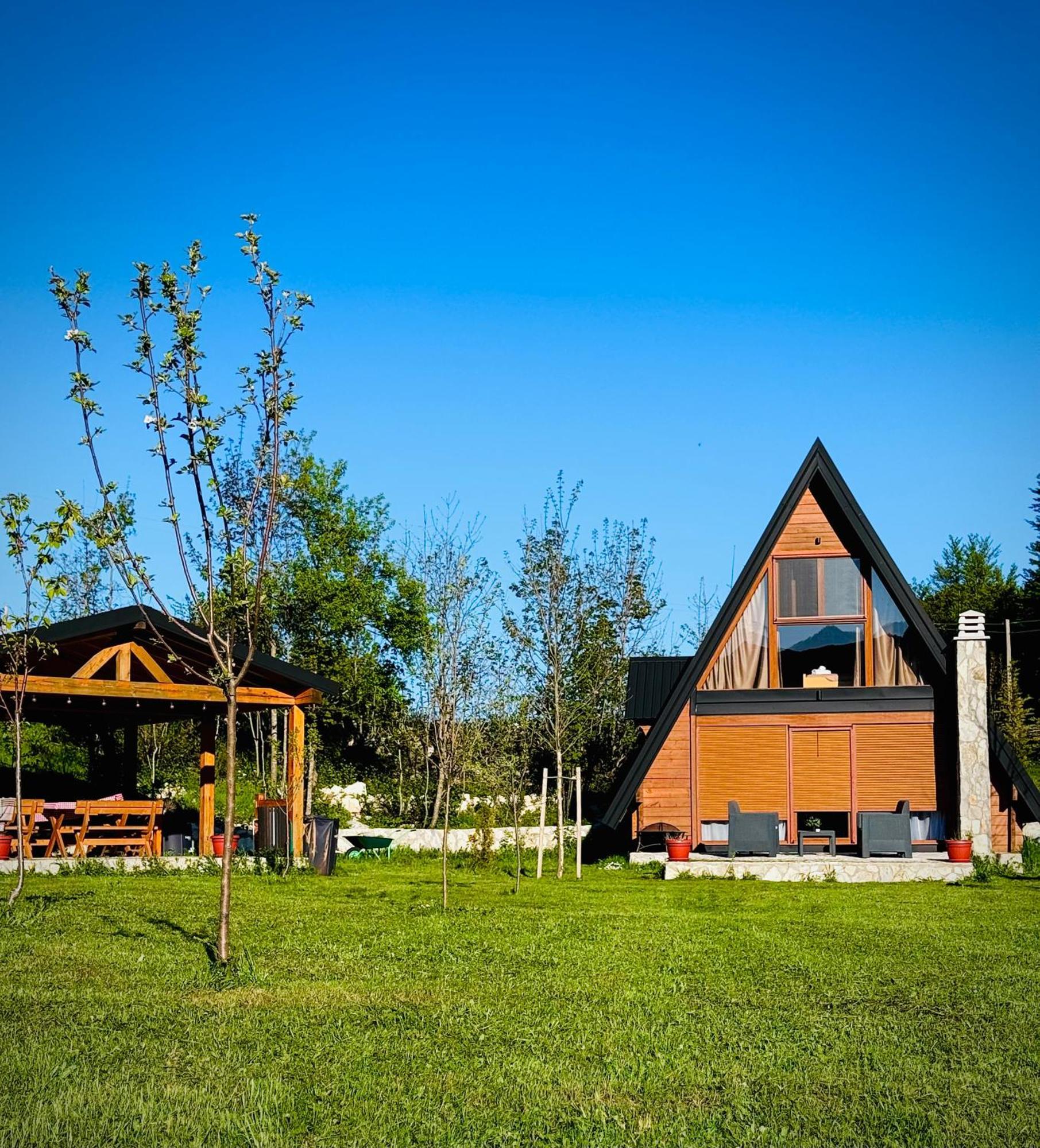 Albero Casa Villa Cetinje Bagian luar foto