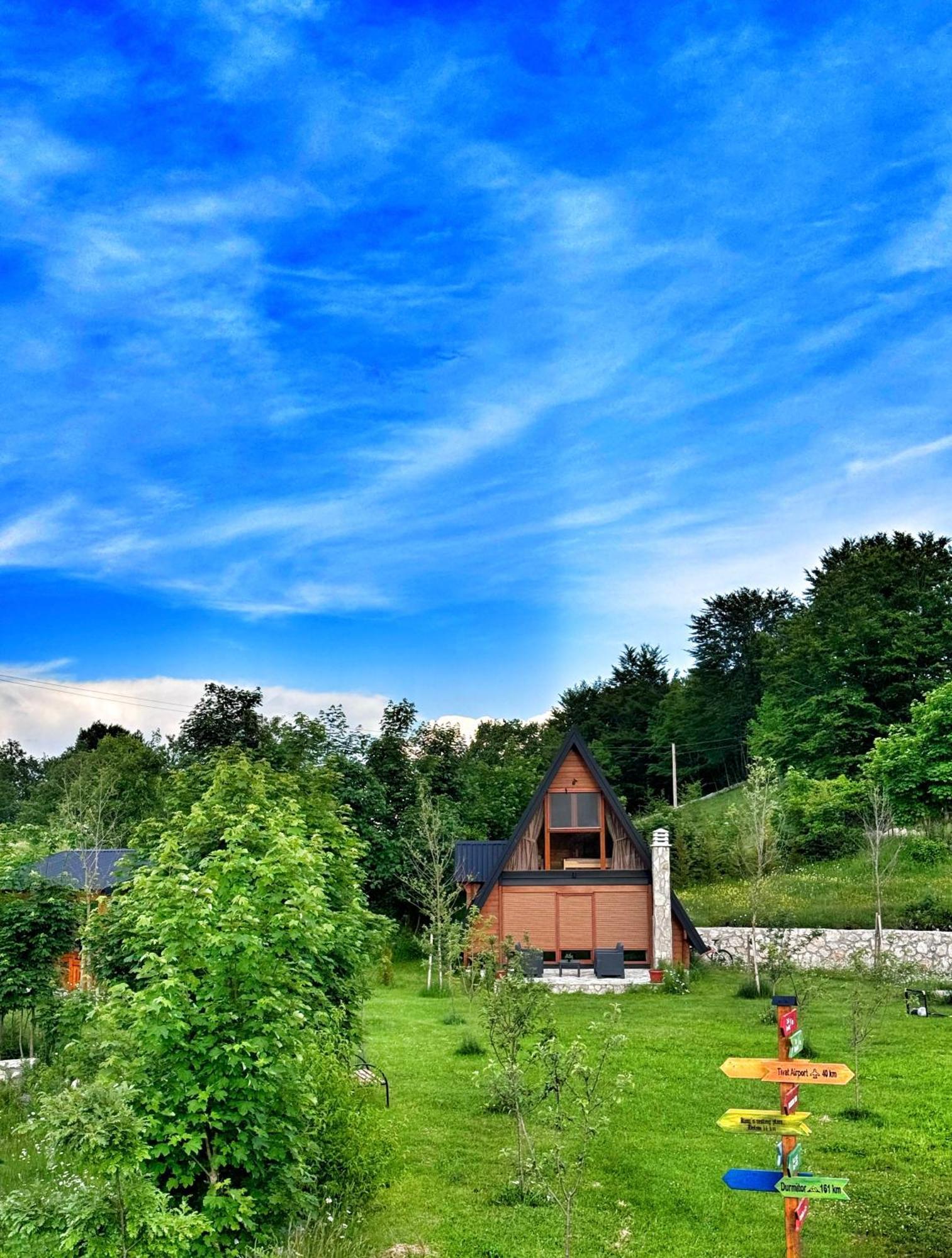 Albero Casa Villa Cetinje Bagian luar foto